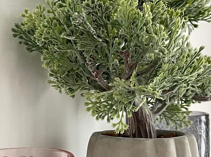 Make Yourself At アパート